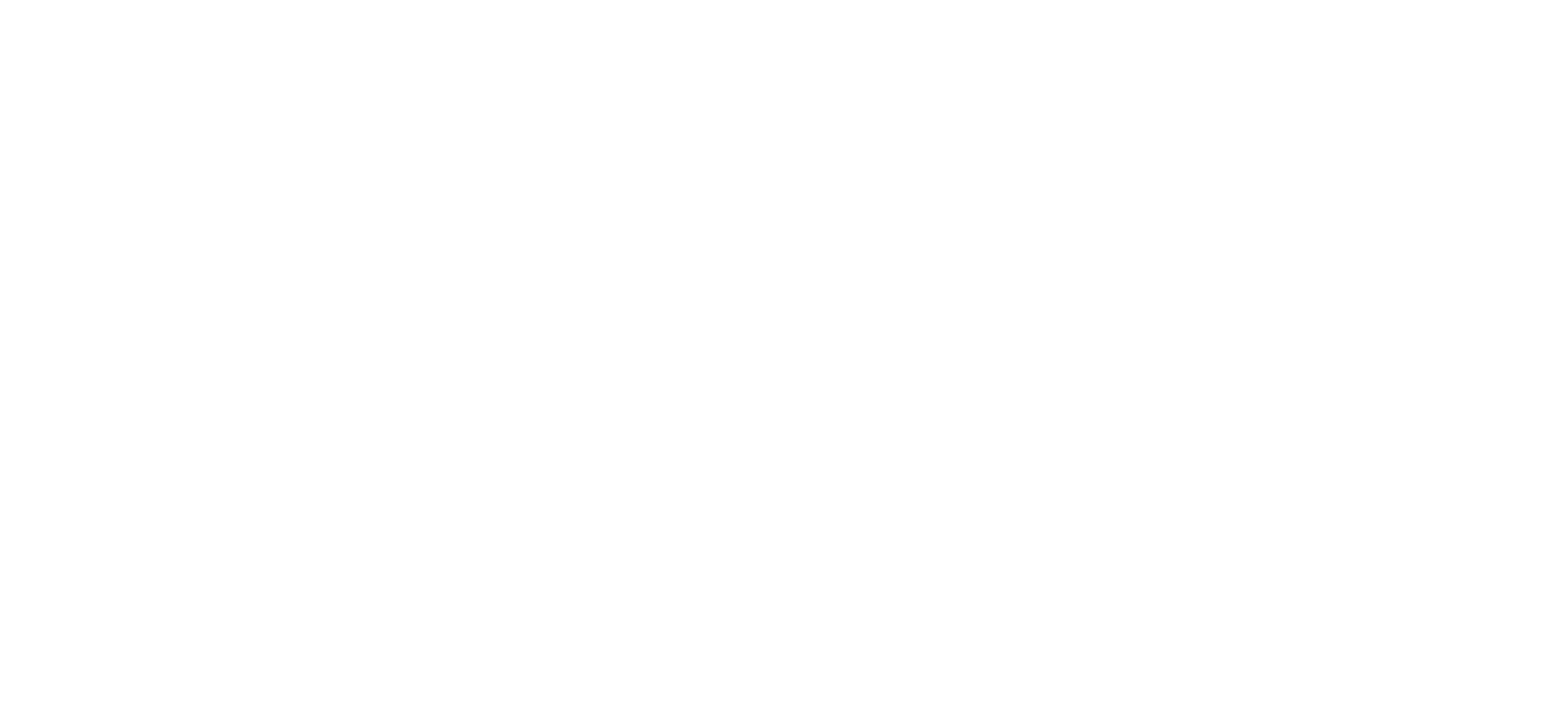 logo_blanc_VECTO