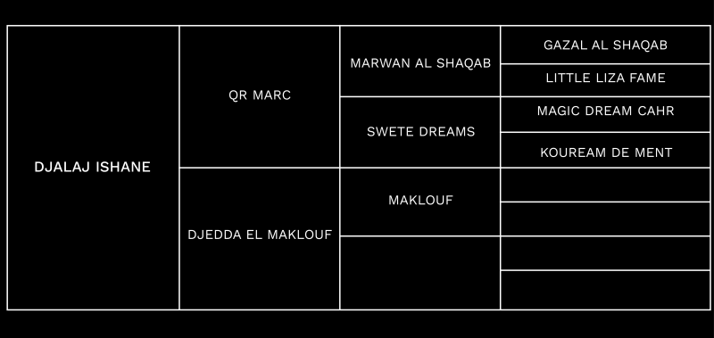Pedigree_Djalaj